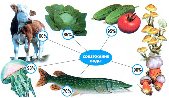 Содержание воды