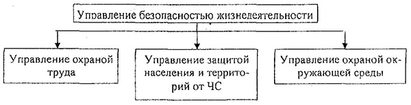 Схема управления безопасностью жизнедеятельности