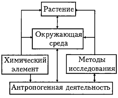 Блок-схема 2