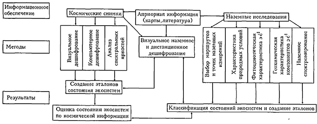 Диагностика состояния экосистем по космическим снимкам