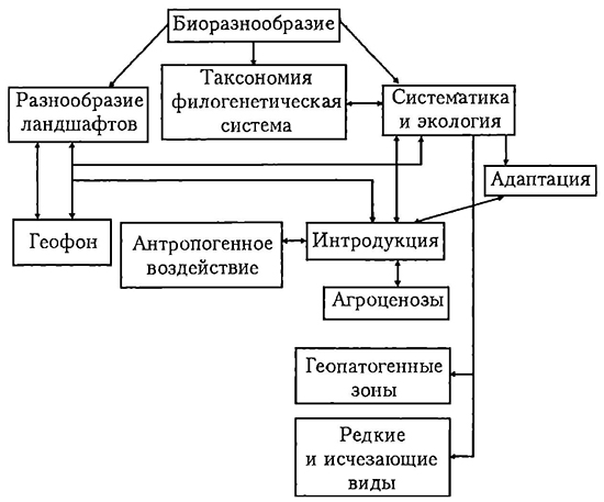 Блок-схема 3