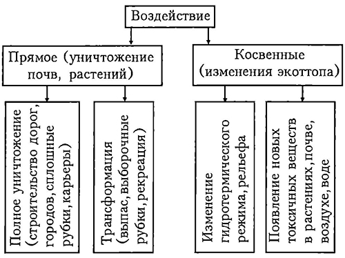 Схема антропогенного воздействия на экосистемы 