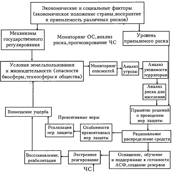 Структура системы управления природным и техногенным рисками