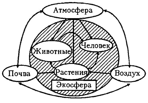 Схема процесса переноса веществ в биосфере и вблизи нее