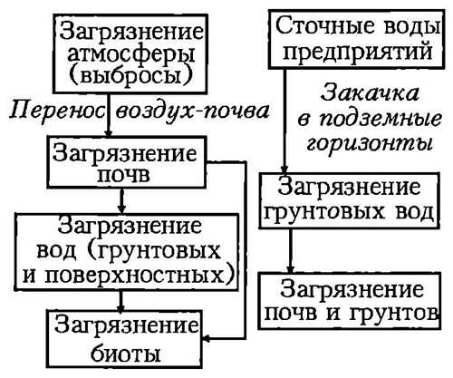 Возможные варианты проявления цепной реакции при внесении вредных веществ в биосферу