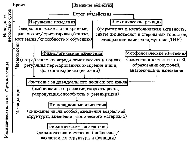 Воздействия па биологические системы по мере усложнения этих систем