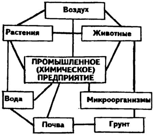 Промышленное (химическое) предприятие и окружающая его среда как система