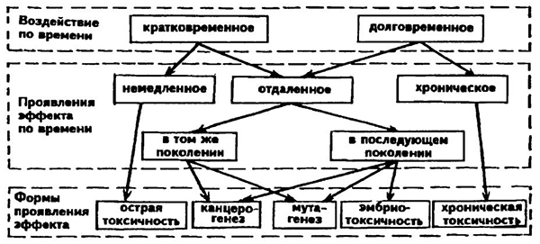 Классификация токсичных веществ по времени воздействия на биологические объекты и по форме проявления эффекта