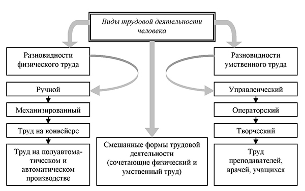 Разновидности физического и умственного труда