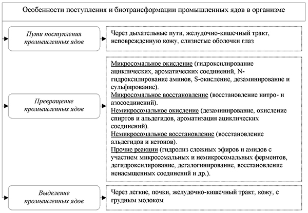 Особенности поступления и биотрансформации промышленных ядов в организме