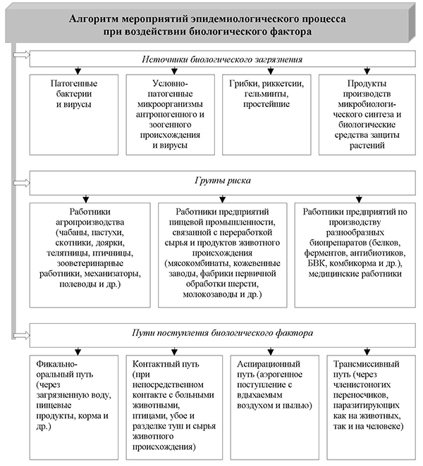 Алгоритм мероприятий эпидемиологического процесса при воздействии биологического фактора