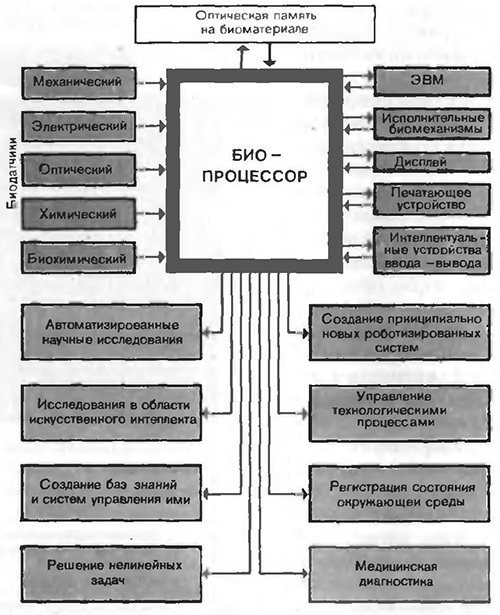 Структура биоЭВМ и области её возможного применения в науке и технике