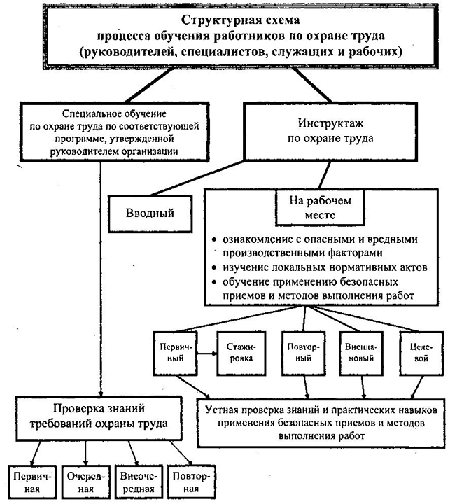 Структурная схема процесса обучения рабочих по охране труда