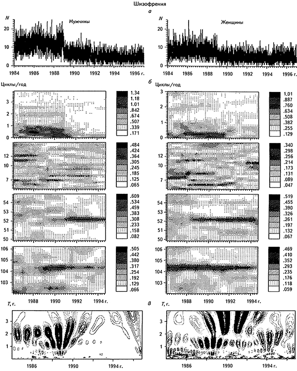 Временные ряды с суточным опросом (а), СВАН-диаграммы в разных частотных диапазонах (6) и результаты вейвлет-анализа (в) для случаев госпитализации по поводу шизофрении психиатрической скорой помощью мужчин и женщин за 1984-1997 гг