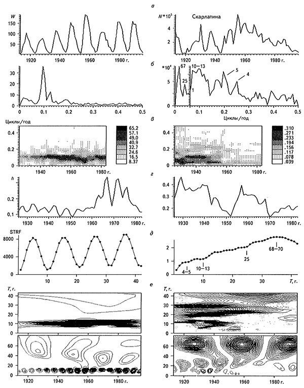Временные ряды с годовым опросом числа различных инфекционных заболеваний в России за 1913-1996 гг. и чисел Вольфа за тот же период (а); соответствующие им амплитудные спектры, цифры на графике - значения периодов в годах (б); СВАН-диаграммы (в); временные ряды параметра хаотизации (г); структурные функции, цифры на графике - значения периодов в годах (д), результаты вейвлет-анализа функциями Morlet и DOG
