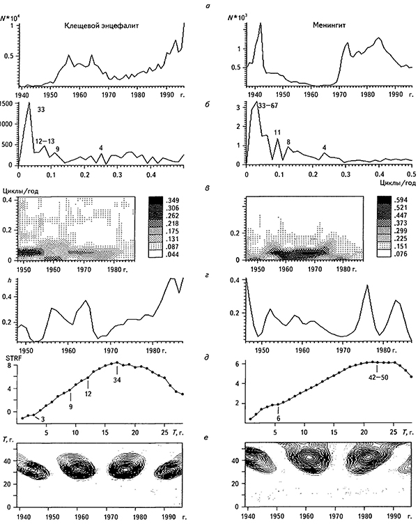 Временные ряды числа различных инфекционных заболеваний в России за 1938-1996 гг. с годовым опросом (а), соответствующие им амплитудные спектры (б), СВАН-диаграммы (в), временные ряды параметра хаотизации (г), графики структурной функции (д), результаты вейвлет-анализа функцией DOG (е)