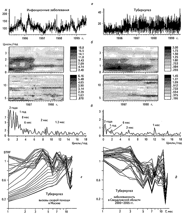 Временные ряды с суточным опросом числа вызовов скорой помощи в Москве по поводу всех инфекционных заболеваний и отдельно туберкулеза (а) за 1995-1999 гг., соответствующие им СВАН-диаграммы в разных частотных диапазонах (б) и амплитудные спектры (в); графики скользящих структурных функций по рядам вызовов скорой помощи по поводу туберкулеза в Москве за 1995-1999 гг. (г) и заболеваемости туберкулезом в Свердловской области за 2000-2005 гг. с месячным опросом (д)