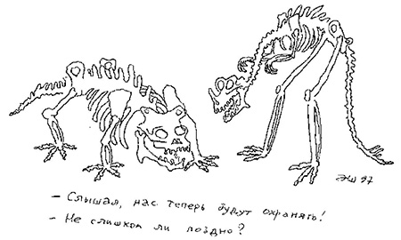 Окружающая среда и природные ресурсы. Животный мир