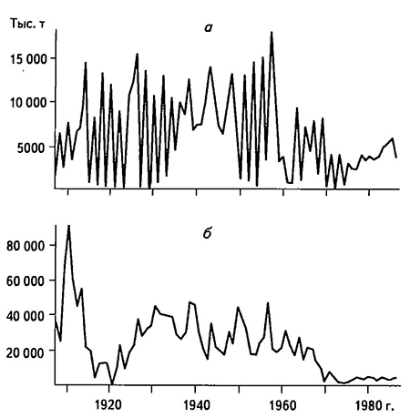 Временные ряды уловов горбуши (а) и кеты (б) в Охотском море