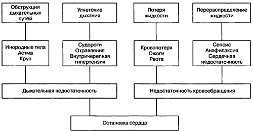 Механизмы, приводящие к остановке сердечной деятельности у детей (с примерами патологических состояний)