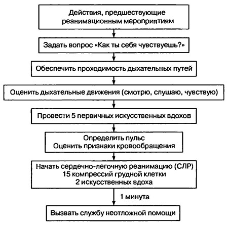 Последовательность ПРМ при остановке сердечной деятельности