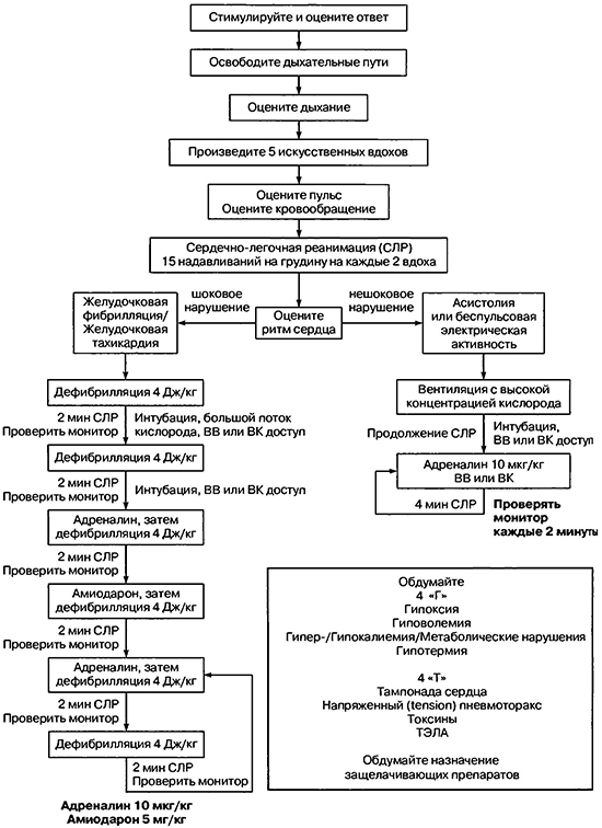 Алгоритм реанимации при остановке сердечной деятельности