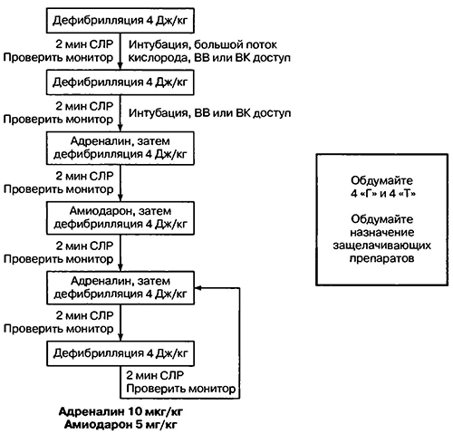 Протокол лечения фибрилляции желудочков и беспульсовой желудочковой тахикардии