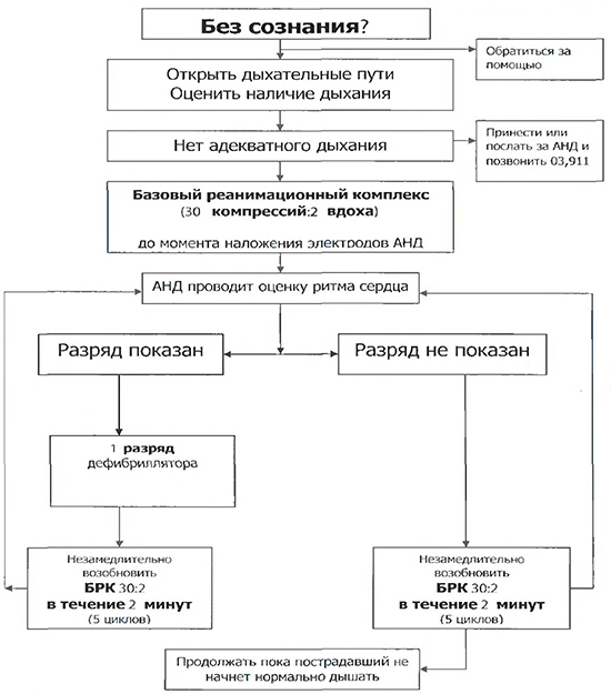 Алгоритм базовых мероприятий по поддержанию жизнедеятельности с использованием АНД