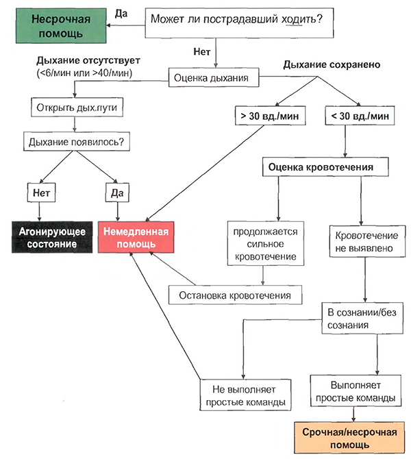 Медицинская сортировка